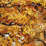 Картина янтарная "Осень в парке" 60х40 см, фотография 5. Интернет-магазин ЛАВКА ПОДАРКОВ