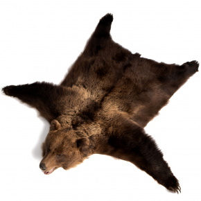 Ковер из шкуры бурого медведя (на подкладке), фотография 0. Интернет-магазин ЛАВКА ПОДАРКОВ