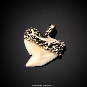 Подвеска-амулет "Зуб тигровой акулы", фотография 0. Интернет-магазин ЛАВКА ПОДАРКОВ