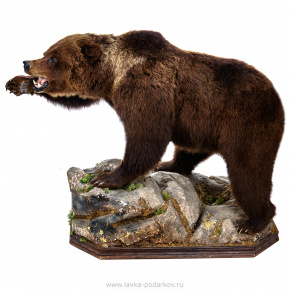 Чучело "Медведь на камне", фотография 0. Интернет-магазин ЛАВКА ПОДАРКОВ