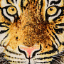 Картина янтарная "Тигр" 62 х 72 см, фотография 4. Интернет-магазин ЛАВКА ПОДАРКОВ