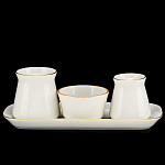 0033914/81.20913.00.1 ЛФЗ НАБОР ДЛЯ СПЕЦИЙ Молодежная Золотая Лента ТН1