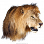 Настенное чучело "Голова льва", фотография 5. Интернет-магазин ЛАВКА ПОДАРКОВ