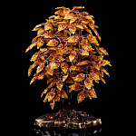 0066487-НП ДЕРЕВО ДЕНЕЖНОЕ ЯНТАРНОЕ на подставке, выс. 63 см, шир. подставки33*17см