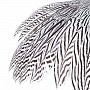 Настенное чучело птицы "Фазан серебристый", фотография 7. Интернет-магазин ЛАВКА ПОДАРКОВ