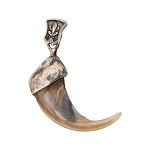 0059542 АМУЛЕТ коготь росомахи 3см, благородный металл