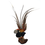  Таксидермия ЧУЧЕЛО"ФАЗАН" настенное (хвост вверх)