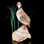  Чучело "Кеклик" настенное