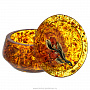 Круглая шкатулка из янтаря "Ива", фотография 2. Интернет-магазин ЛАВКА ПОДАРКОВ