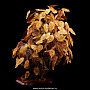 Денежное дерево из янтаря, фотография 2. Интернет-магазин ЛАВКА ПОДАРКОВ