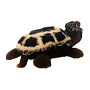 Игрушка из натурального меха "Черепаха", фотография 3. Интернет-магазин ЛАВКА ПОДАРКОВ