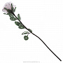 Сувенир "Роза из бисера", фотография 1. Интернет-магазин ЛАВКА ПОДАРКОВ