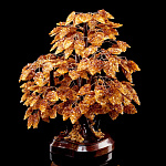 0066489-НП ДЕРЕВО ДЕНЕЖНОЕ ЯНТАРНОЕ на подставке, выс. 50 см, шир. подставки22см