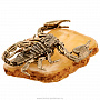 Бронзовая статуэтка на подставке из янтаря "Скорпион", фотография 4. Интернет-магазин ЛАВКА ПОДАРКОВ