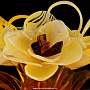 Композиция из янтаря "Цветы в вазе", фотография 3. Интернет-магазин ЛАВКА ПОДАРКОВ