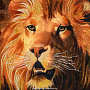 Картина янтарная "Лев" 84х104 см, фотография 3. Интернет-магазин ЛАВКА ПОДАРКОВ