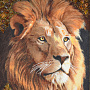Картина янтарная "Лев" 60х40 см, фотография 1. Интернет-магазин ЛАВКА ПОДАРКОВ