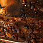 Картина янтарная "Лев. Семья" 69х117 см, фотография 9. Интернет-магазин ЛАВКА ПОДАРКОВ