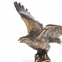 Бронзовая статуэтка "Орел", фотография 3. Интернет-магазин ЛАВКА ПОДАРКОВ
