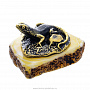  Статуэтка с янтарем "Ящерка на камне" (белый), фотография 4. Интернет-магазин ЛАВКА ПОДАРКОВ