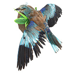 / СИД Таксидермия. Чучело сизоворонки