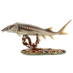  Таксидермия Чучело Осетр каспийский настенное