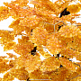 Денежное дерево из янтаря. 200 листов, фотография 2. Интернет-магазин ЛАВКА ПОДАРКОВ