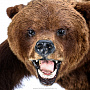 Чучело "Медведь на камне", фотография 3. Интернет-магазин ЛАВКА ПОДАРКОВ