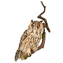 Настенное чучело птицы "Сова ушастая", фотография 1. Интернет-магазин ЛАВКА ПОДАРКОВ