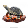 Статуэтка с янтарем "Средиземноморская черепаха", фотография 4. Интернет-магазин ЛАВКА ПОДАРКОВ