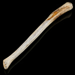 0074692 Изделия из кости Чукотская булава Пенис моржа  L=43 см