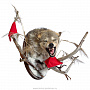 Чучело настенное "Голова волка. Воин с флажками", фотография 3. Интернет-магазин ЛАВКА ПОДАРКОВ