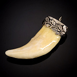 0059527 АМУЛЕТ "ДУБ"  6-7см  клык медведя, благород.металл