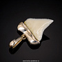 Подвеска-амулет из зуба белой рифовой акулы, фотография 2. Интернет-магазин ЛАВКА ПОДАРКОВ