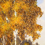 Янтарная картина "Пейзаж №4" 47х112 см, фотография 5. Интернет-магазин ЛАВКА ПОДАРКОВ