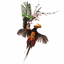 Настенное чучело птицы "Фазан алмазный", фотография 3. Интернет-магазин ЛАВКА ПОДАРКОВ