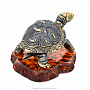 Статуэтка с янтарем "Средиземноморская черепаха", фотография 5. Интернет-магазин ЛАВКА ПОДАРКОВ