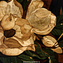 Деревянное настенное панно "Магнолия" 33,5 х 43,5 см, фотография 4. Интернет-магазин ЛАВКА ПОДАРКОВ