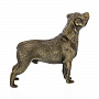 Бронзовая скульптура "Собака Ротвейлер", фотография 3. Интернет-магазин ЛАВКА ПОДАРКОВ