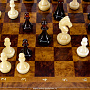 Шахматный ларец из капа с фигурами из янтаря, фотография 10. Интернет-магазин ЛАВКА ПОДАРКОВ