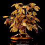Денежное дерево из янтаря (20 веток), фотография 1. Интернет-магазин ЛАВКА ПОДАРКОВ