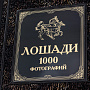 Книга подарочная "Лошади. 1000 фотографий", фотография 4. Интернет-магазин ЛАВКА ПОДАРКОВ