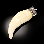 0059526 АМУЛЕТ "КОСА"  8-9см  клык медведя, благород.металл