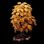 0066484-НП ДЕРЕВО ДЕНЕЖНОЕ ЯНТАРНОЕ  на подставке, выс. 53 см, шир. подставки26см