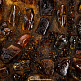 Картина янтарная "Шторм" 116х68 см, фотография 6. Интернет-магазин ЛАВКА ПОДАРКОВ
