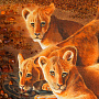 Картина янтарная "Лев. Семья" 69х117 см, фотография 10. Интернет-магазин ЛАВКА ПОДАРКОВ