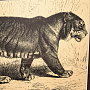 Картина "Тигр". Сусальное золото 45х35 см, фотография 3. Интернет-магазин ЛАВКА ПОДАРКОВ