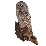 Таксидермия. Чучело настенное "Неясыть бородатая"