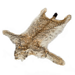 Таксидермия. Ковер из шкуры рыси