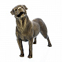 Бронзовая скульптура "Собака Ротвейлер", фотография 2. Интернет-магазин ЛАВКА ПОДАРКОВ